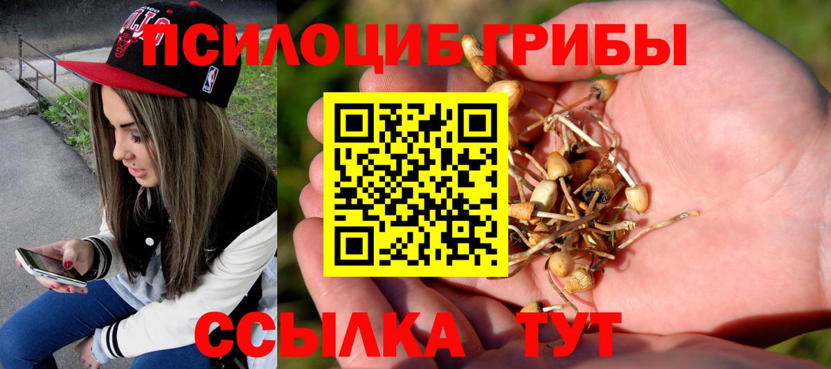 Галлюциногенные грибы Psilocybine cubensis  Псилоцибиновые грибы мухоморы  Фролово  Вход с VPN 